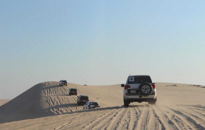 Full Day Desert Safari